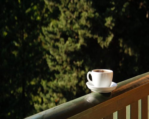 A peaceful morning scene with a cup of coffee and sunlight